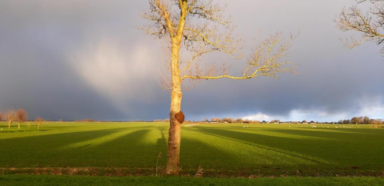 Tuinhuis Lutjewinkel Zewnętrze zdjęcie