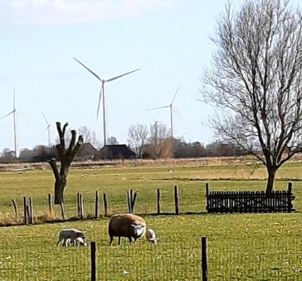 Tuinhuis Lutjewinkel Zewnętrze zdjęcie